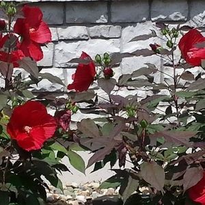 Meet your Posher, Edna